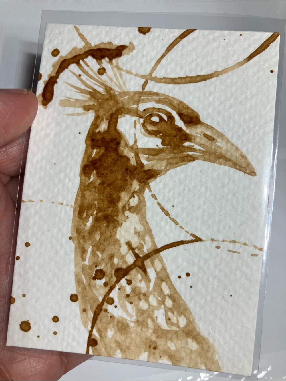 Aceo original peacock coffee painting Java atc gift card or “treat yourself”